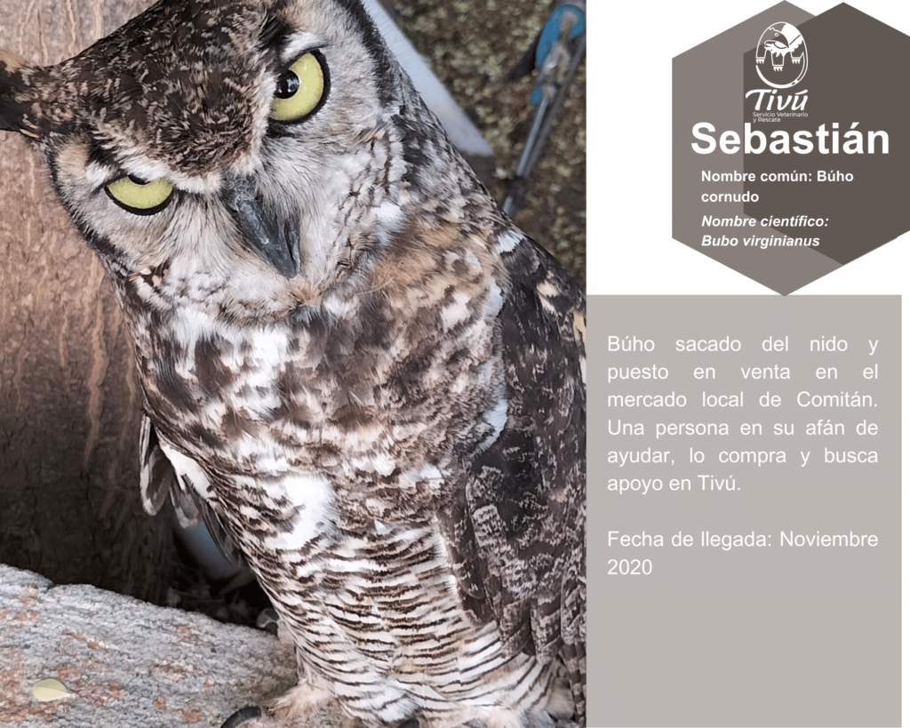 Sebastián